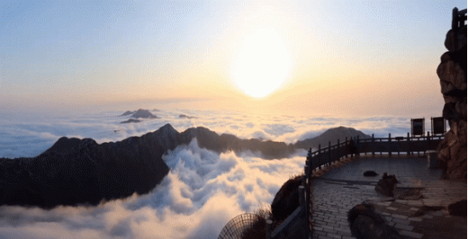22062011101570033.gif