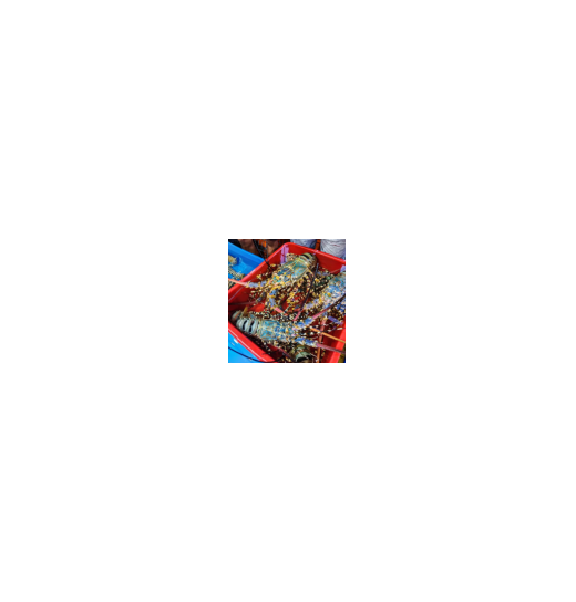 25102216053354788.png