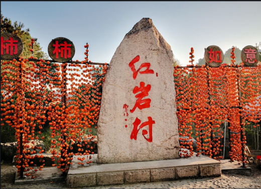 25102010091524207.jpg